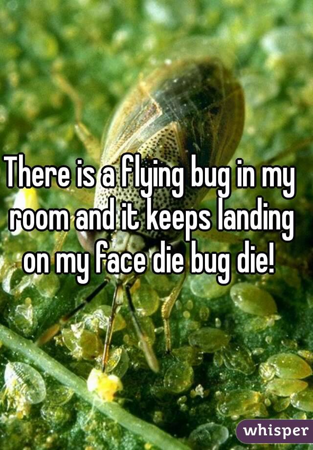 There is a flying bug in my room and it keeps landing on my face die bug die! 