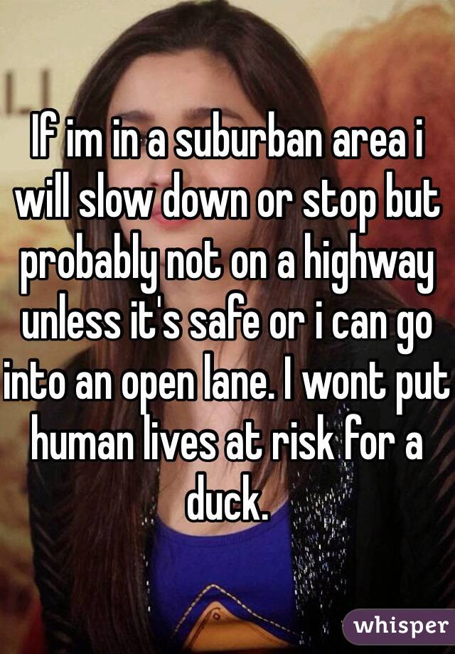 If im in a suburban area i will slow down or stop but probably not on a highway unless it's safe or i can go into an open lane. I wont put human lives at risk for a duck.