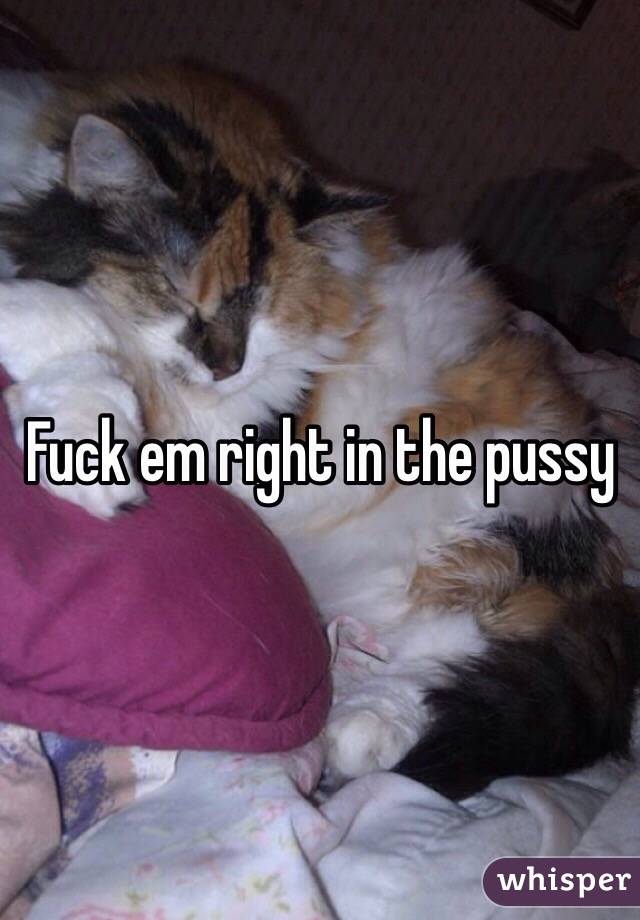 Fuck em right in the pussy