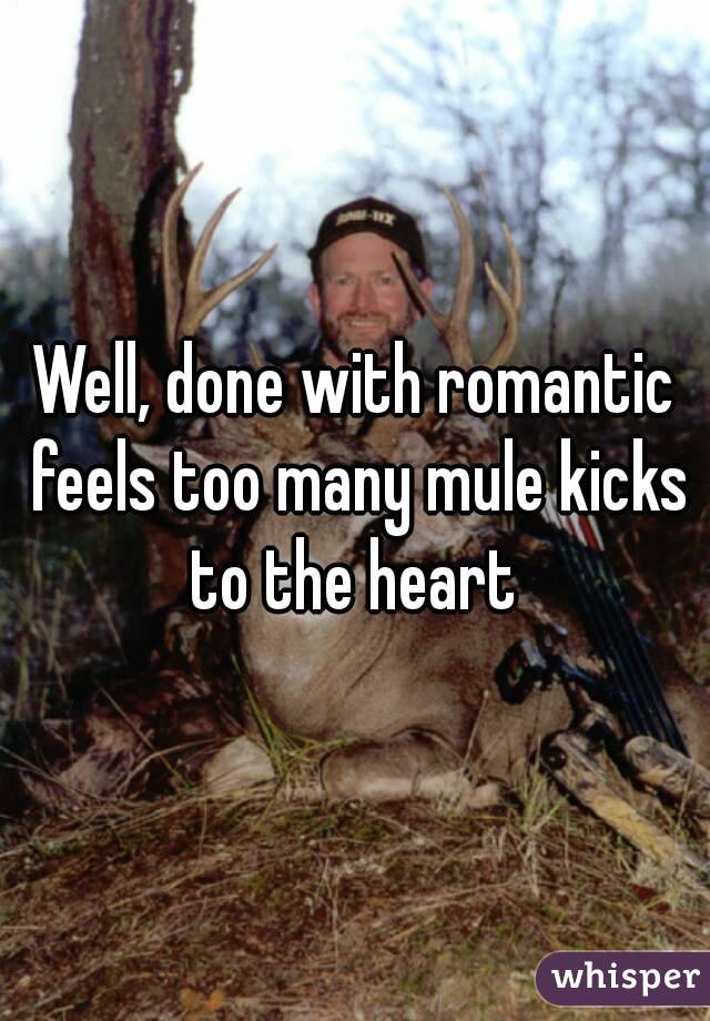 Well, done with romantic feels too many mule kicks to the heart 