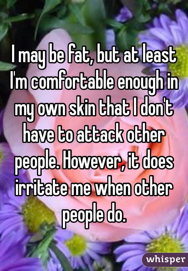 I may be fat, but at least I'm comfortable enough in my own skin that I don't have to attack other people. However, it does irritate me when other people do. 