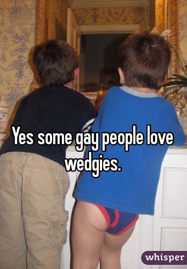 Yes some gay people love wedgies. 