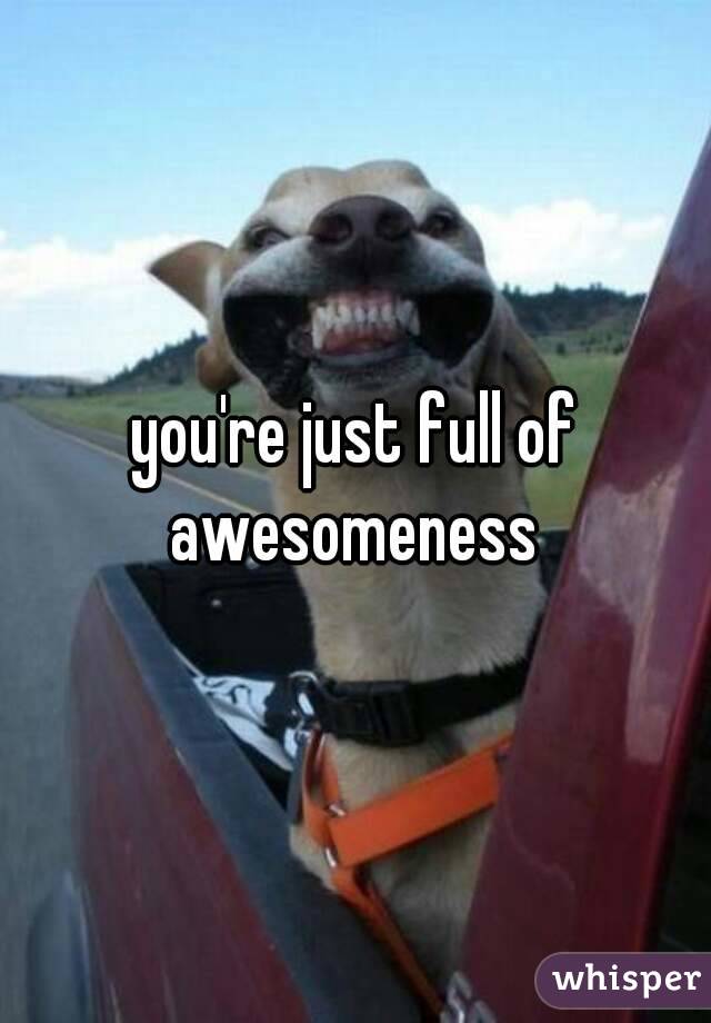 you're just full of awesomeness 