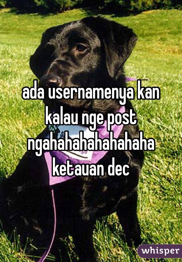 ada usernamenya kan kalau nge post ngahahahahahahaha ketauan dec