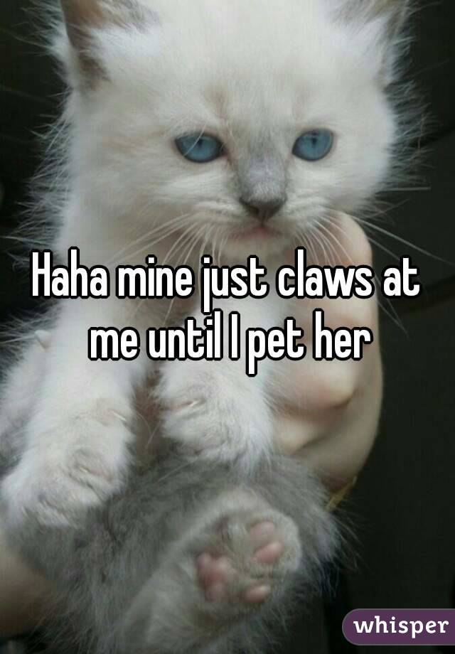 Haha mine just claws at me until I pet her