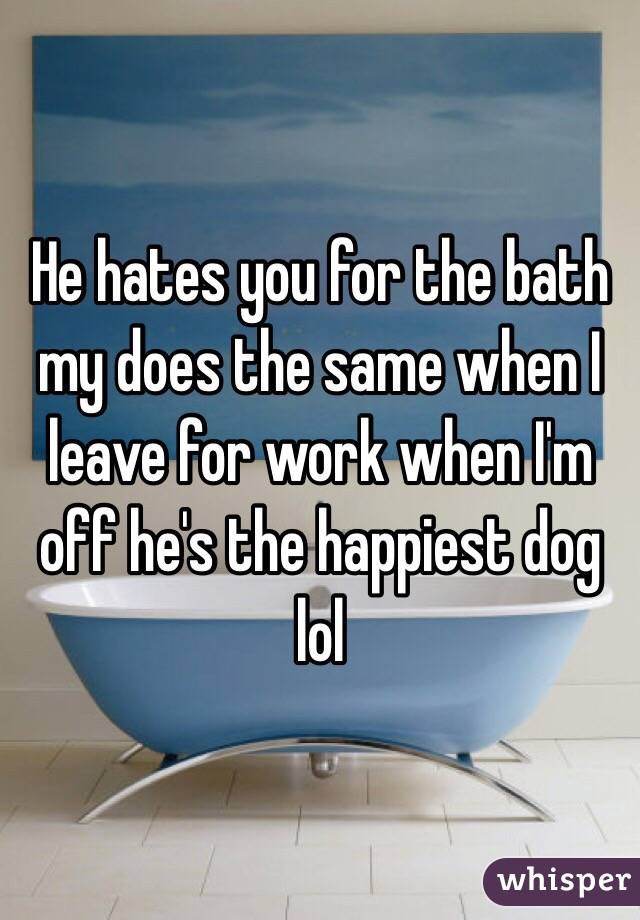 He hates you for the bath my does the same when I leave for work when I'm off he's the happiest dog lol