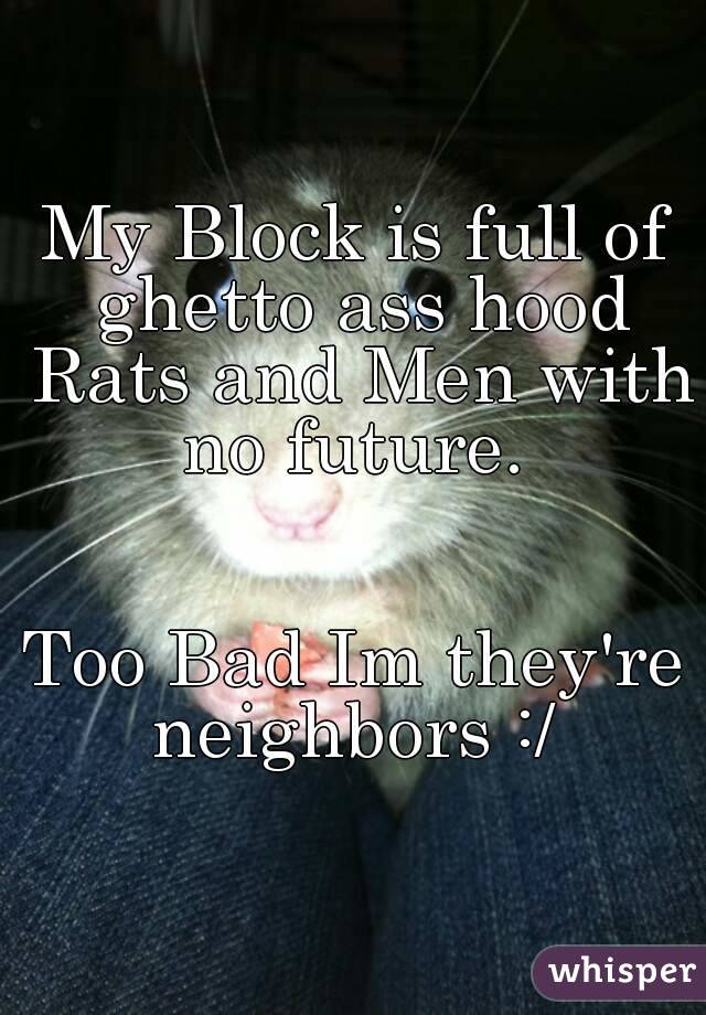 My Block is full of ghetto ass hood Rats and Men with no future. 


Too Bad Im they're neighbors :/ 