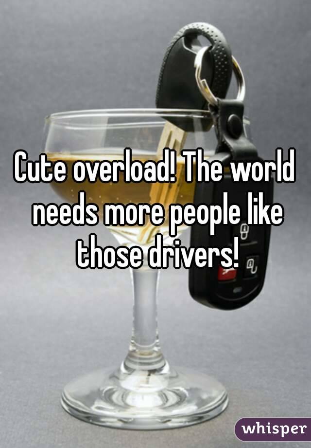 Cute overload! The world needs more people like those drivers!