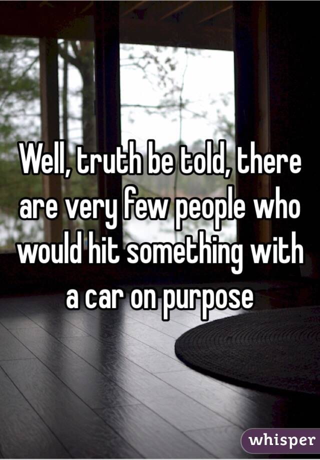 Well, truth be told, there are very few people who would hit something with a car on purpose 