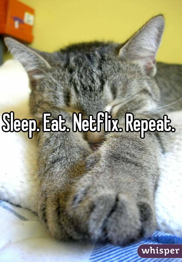 Sleep. Eat. Netflix. Repeat. 
