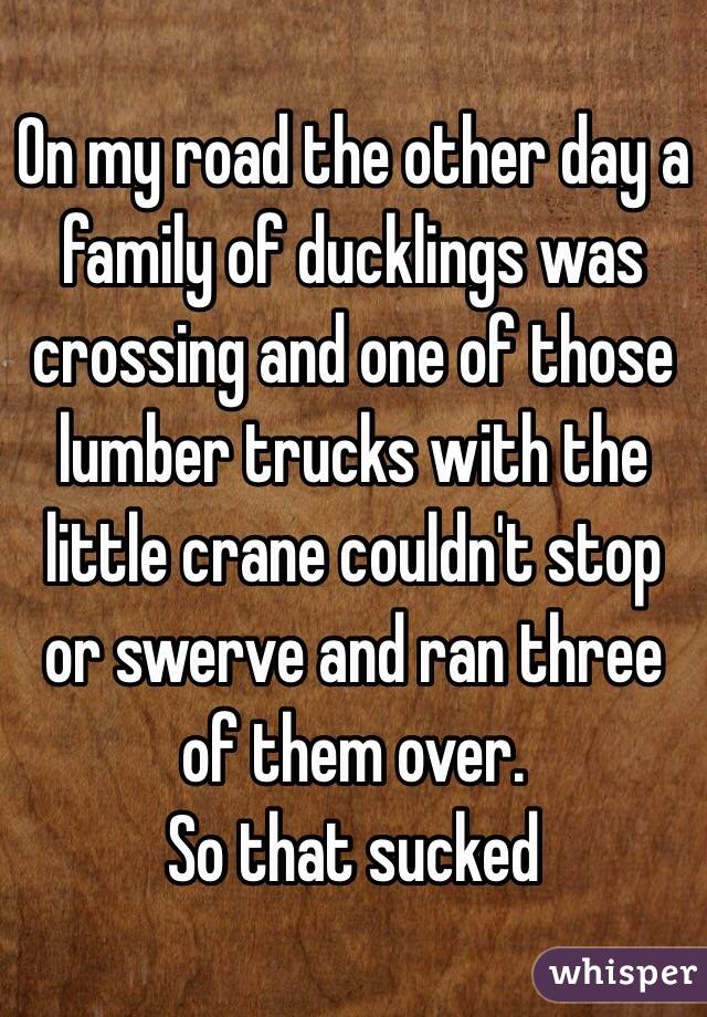 On my road the other day a family of ducklings was crossing and one of those lumber trucks with the little crane couldn't stop or swerve and ran three of them over.
So that sucked