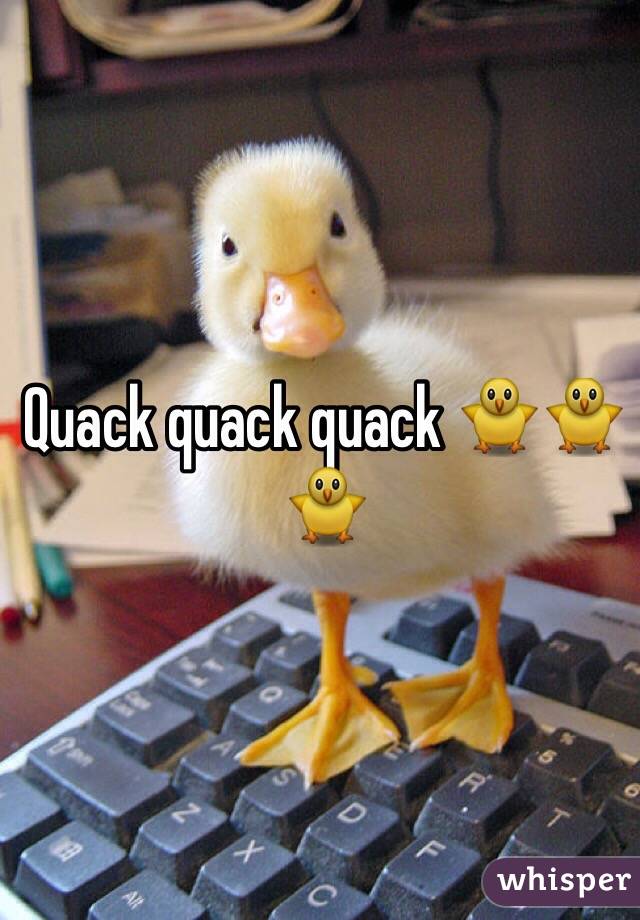 Quack quack quack 🐥🐥🐥