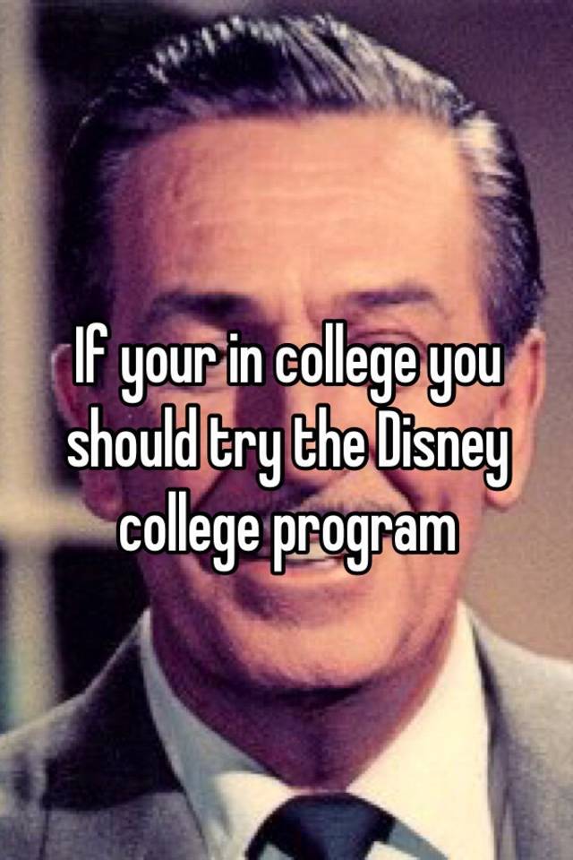 if-your-in-college-you-should-try-the-disney-college-program