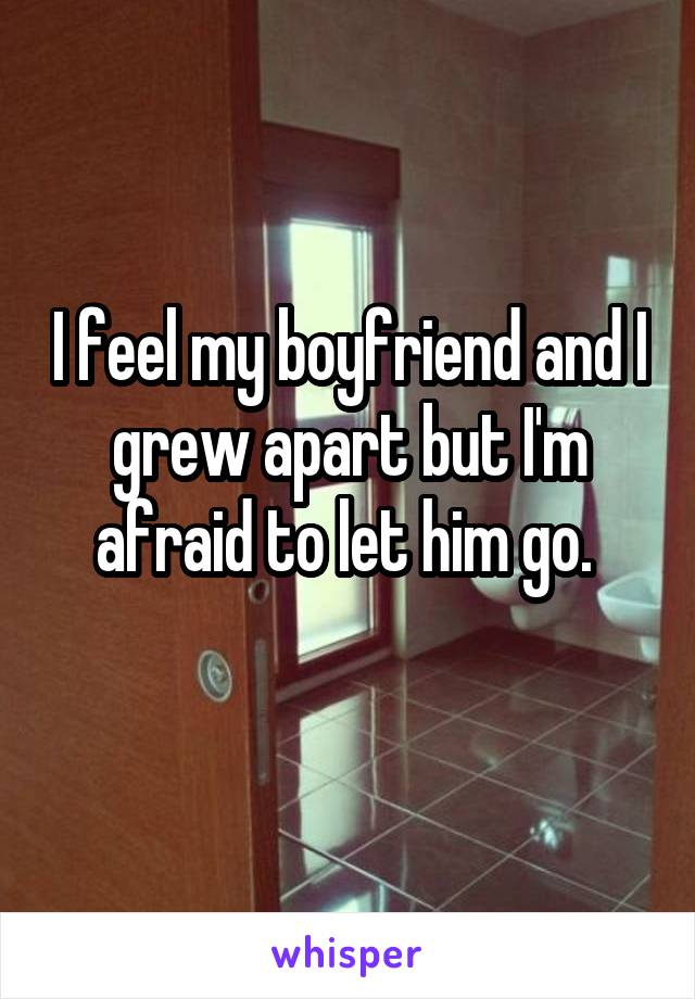 I feel my boyfriend and I grew apart but I'm afraid to let him go. 
