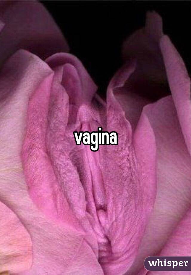 vagina