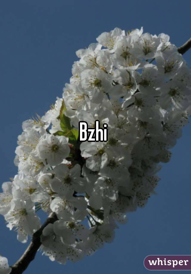 Bzhi 