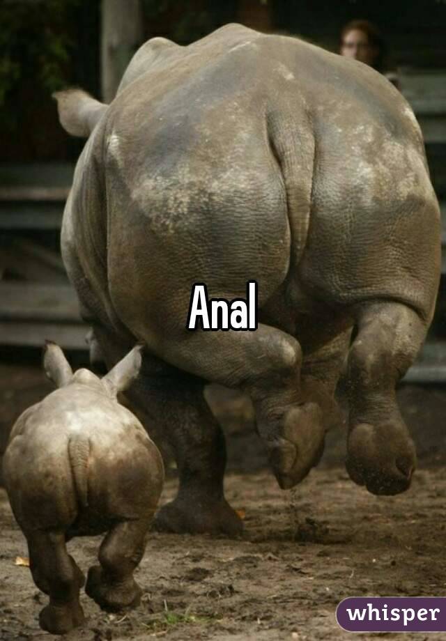 Anal