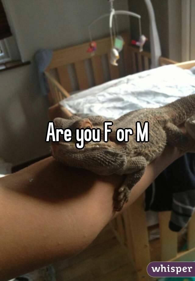 Are you F or M