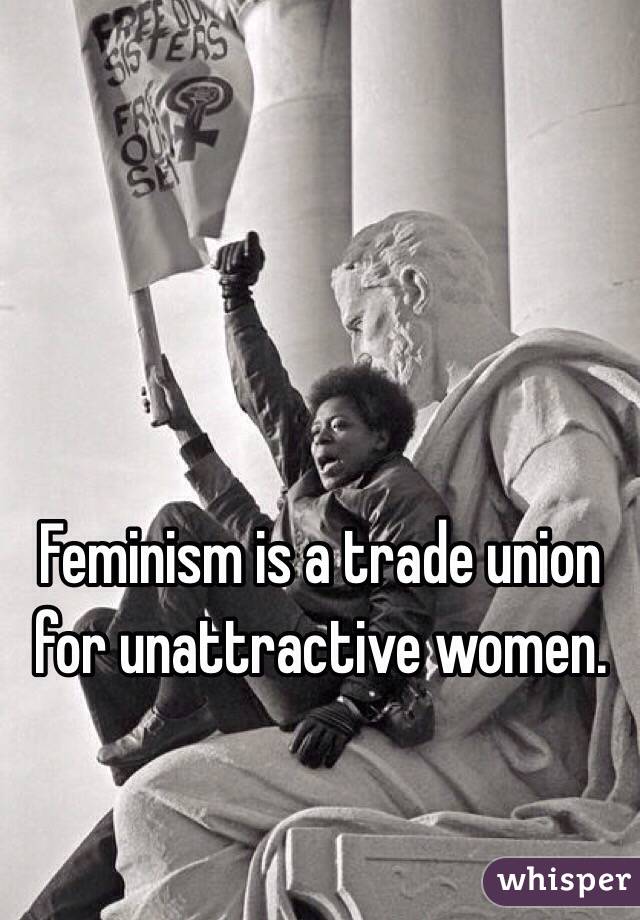 Feminism is a trade union for unattractive women. 