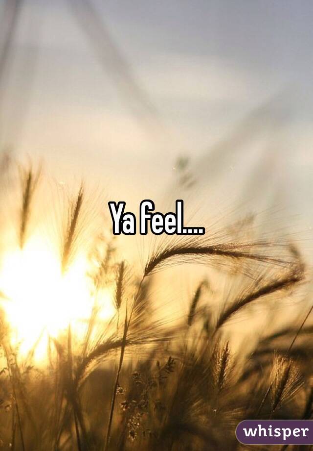 Ya feel.... 
