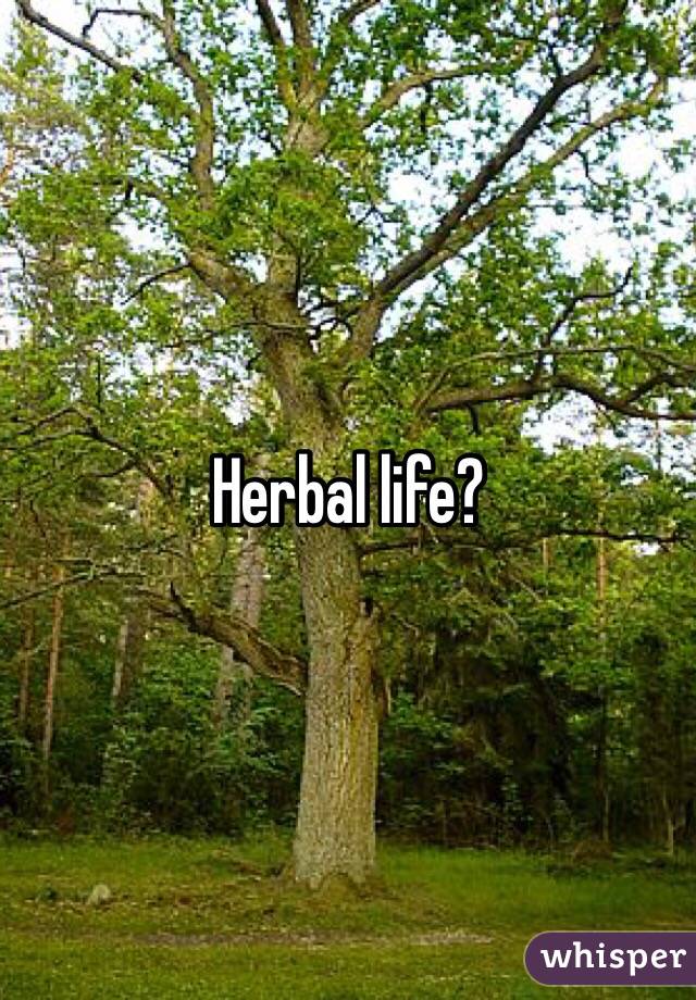 Herbal life?