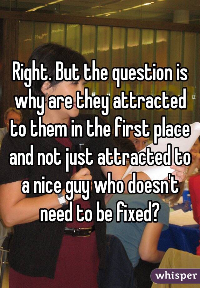 Right. But the question is why are they attracted to them in the first place and not just attracted to a nice guy who doesn't need to be fixed?