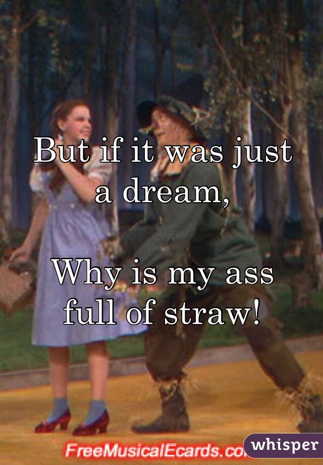 But if it was just a dream, Why is my ass full of straw!