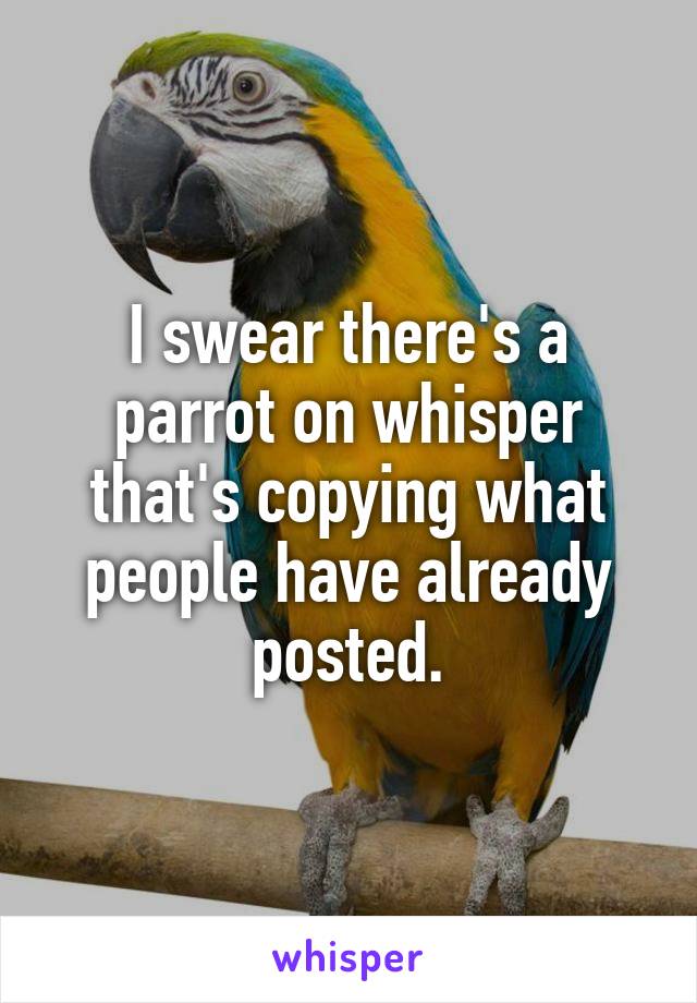 I swear there's a parrot on whisper that's copying what people have already posted.