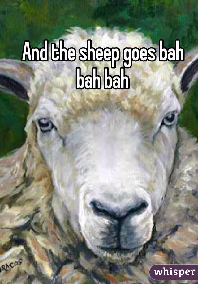 And the sheep goes bah bah bah