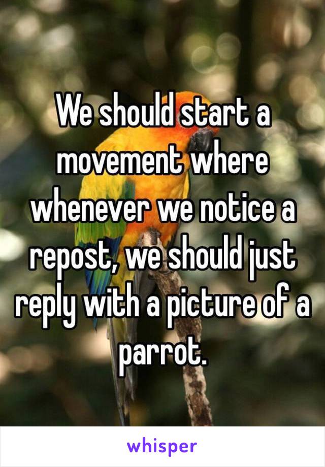 We should start a movement where whenever we notice a repost, we should just reply with a picture of a parrot. 