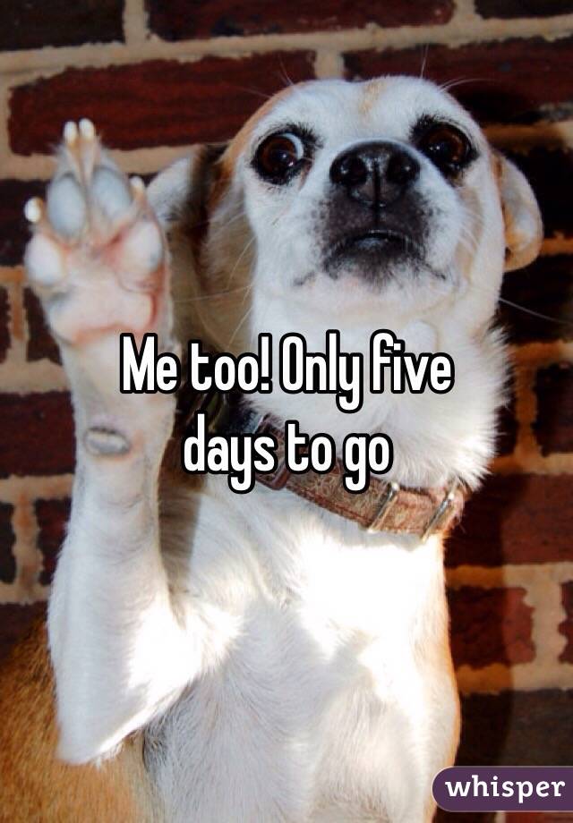 Me too! Only five
days to go 
