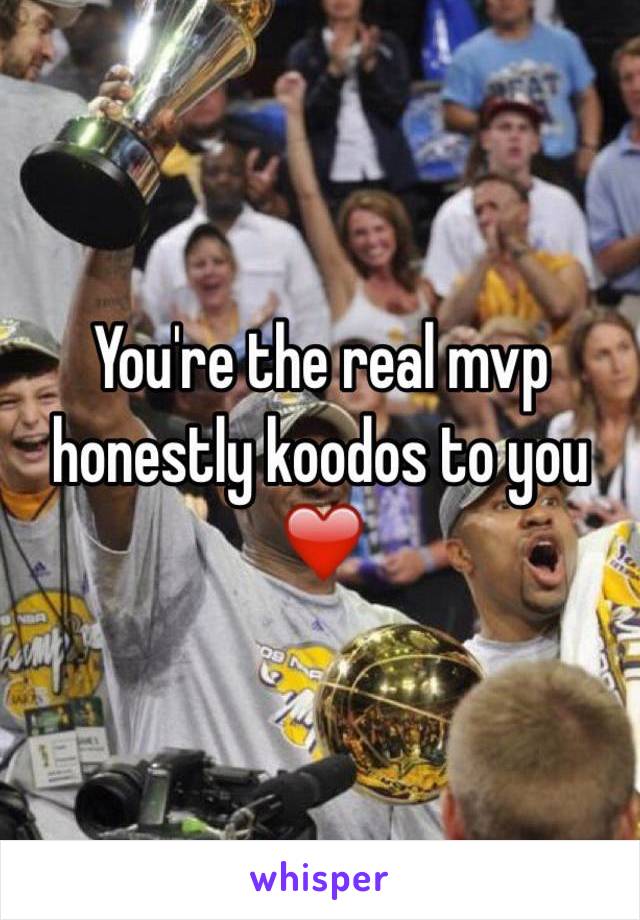 You're the real mvp honestly koodos to you ❤️