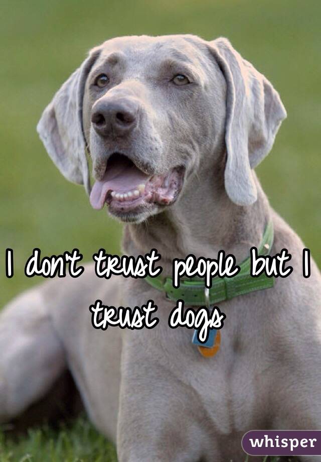 I don't trust people but I trust dogs 