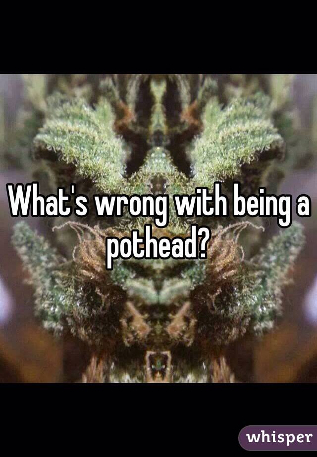 What's wrong with being a pothead? 