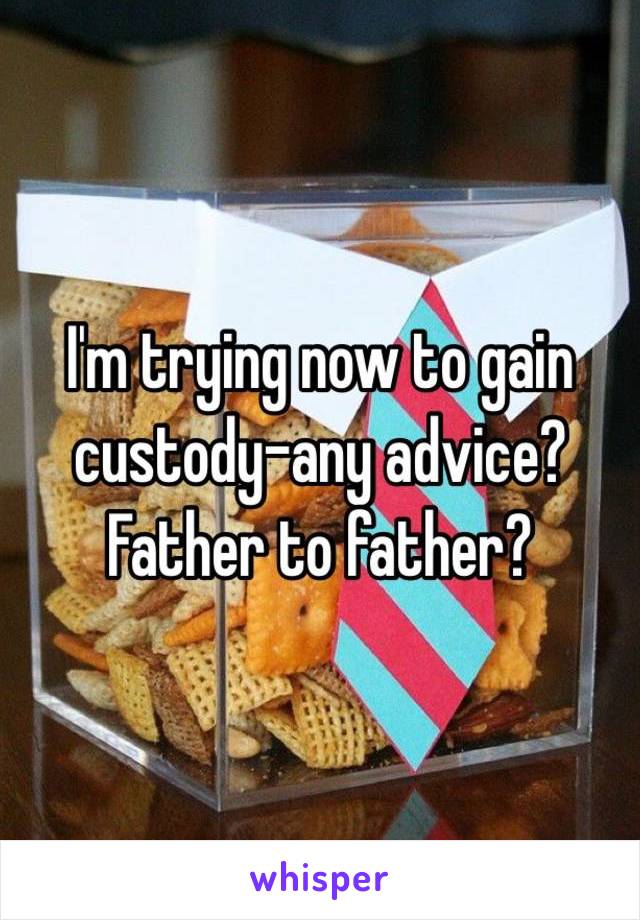 I'm trying now to gain custody-any advice? Father to father?