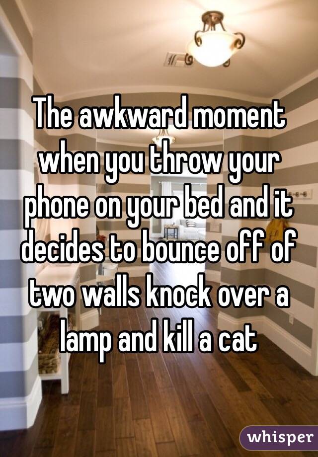 The awkward moment when you throw your phone on your bed and it decides to bounce off of two walls knock over a lamp and kill a cat