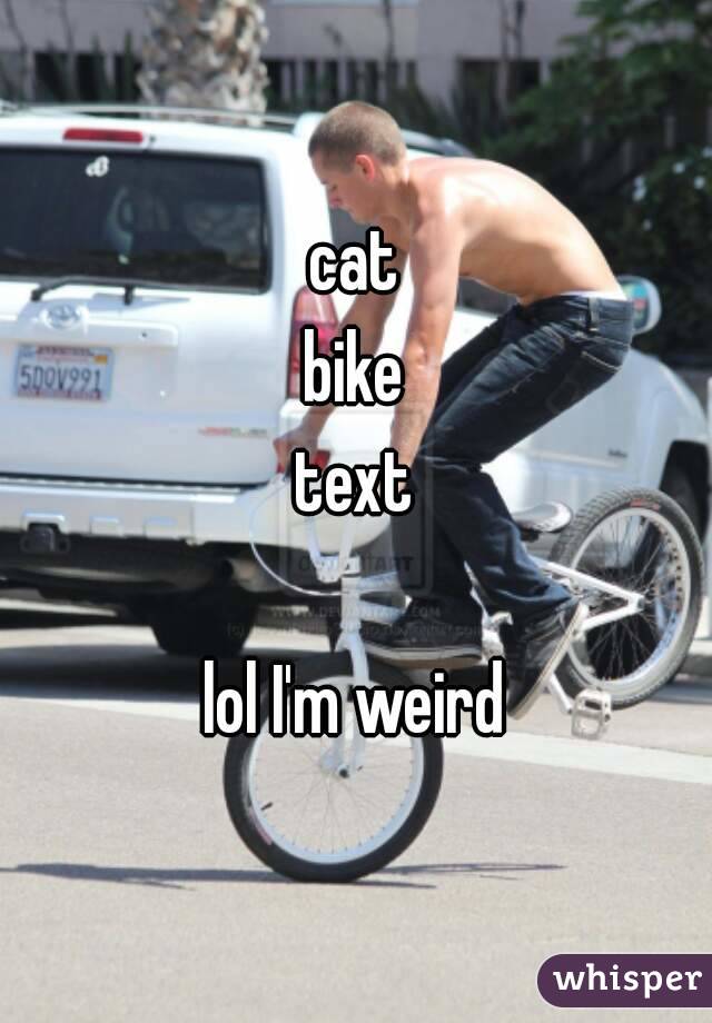 cat
bike
text

lol I'm weird