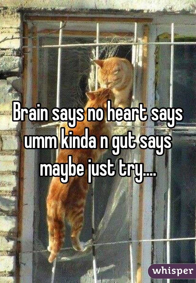 Brain says no heart says umm kinda n gut says maybe just try....