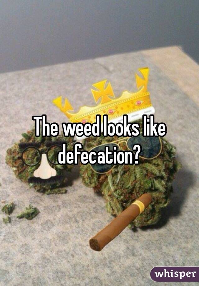 The weed looks like defecation?