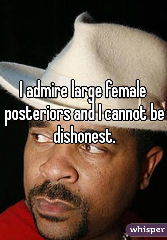 I admire large female posteriors and I cannot be dishonest.