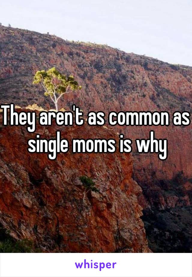 They aren't as common as single moms is why