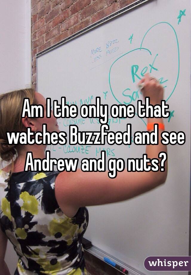 Am I the only one that watches Buzzfeed and see Andrew and go nuts?