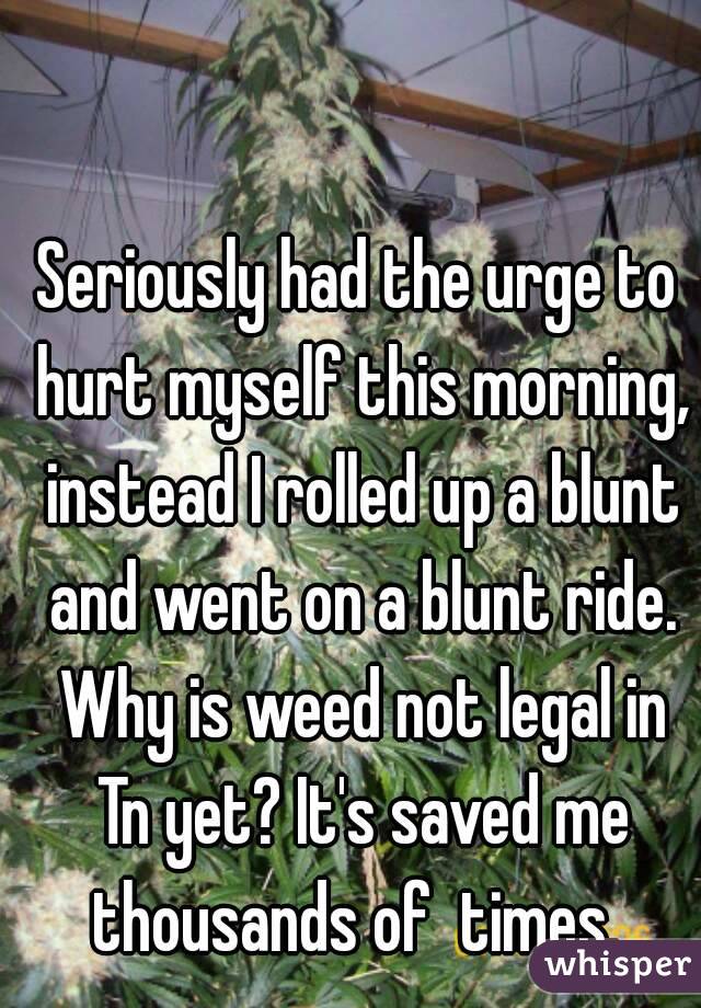 Seriously had the urge to hurt myself this morning, instead I rolled up a blunt and went on a blunt ride. Why is weed not legal in Tn yet? It's saved me thousands of  times. 