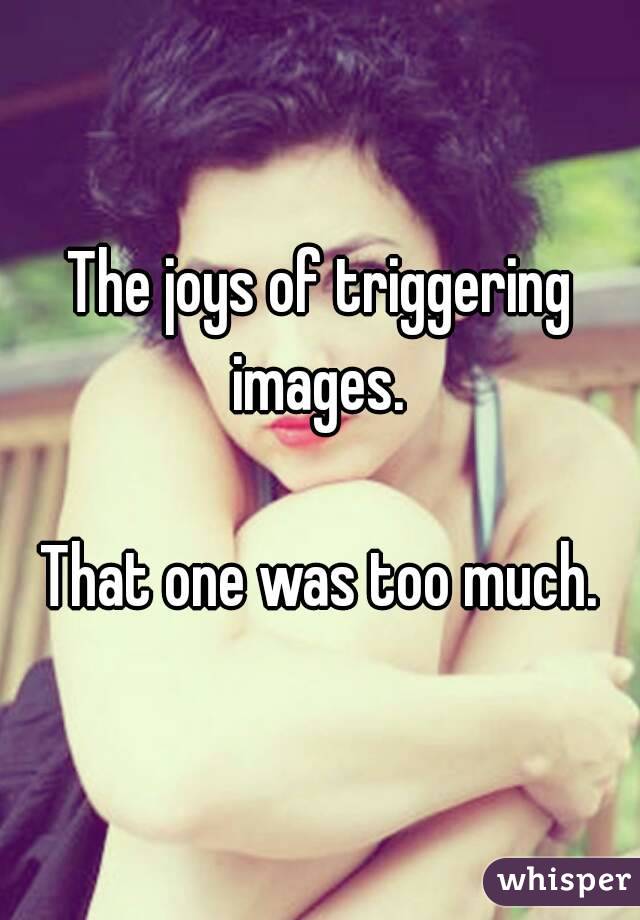 The joys of triggering images. 

That one was too much.
