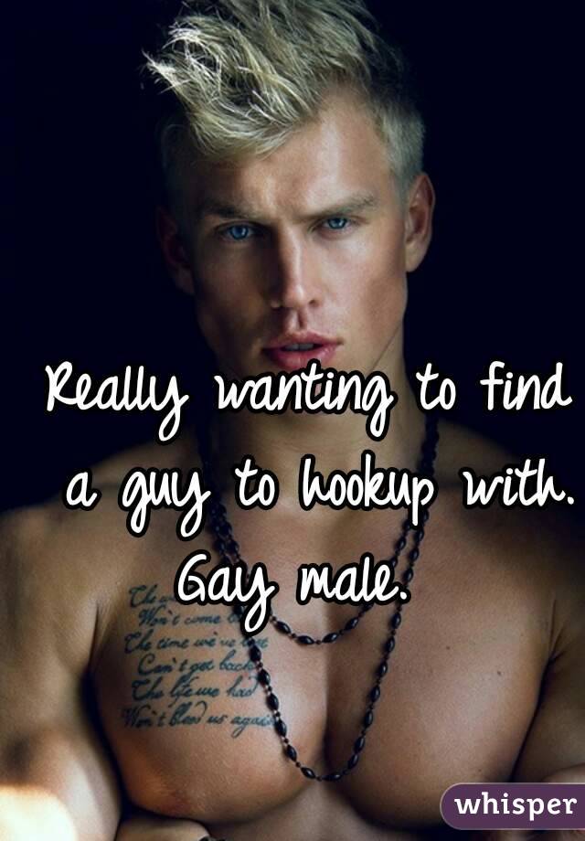 Really wanting to find a guy to hookup with.
Gay male. 