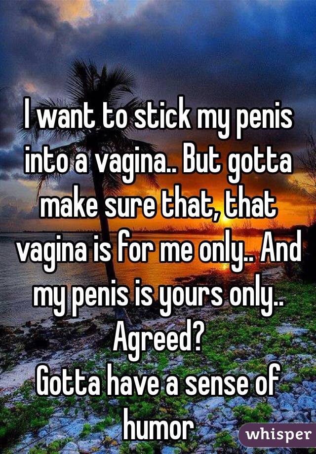 I want to stick my penis into a vagina.. But gotta make sure that, that vagina is for me only.. And my penis is yours only..
Agreed? 
Gotta have a sense of humor 
