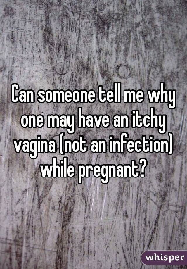 Can someone tell me why one may have an itchy vagina (not an infection) while pregnant?