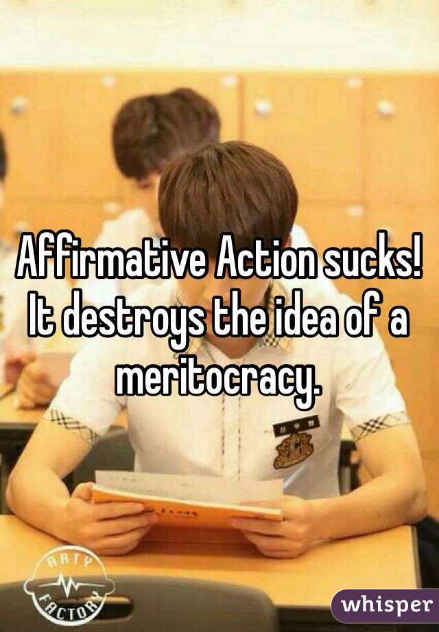 Affirmative Action sucks! It destroys the idea of a meritocracy.