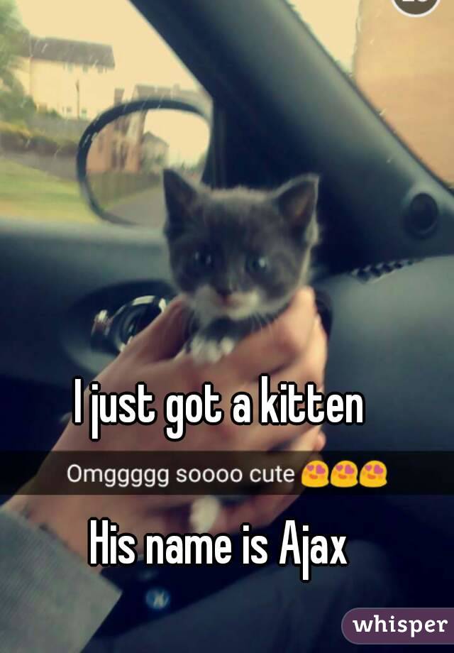 I just got a kitten

His name is Ajax