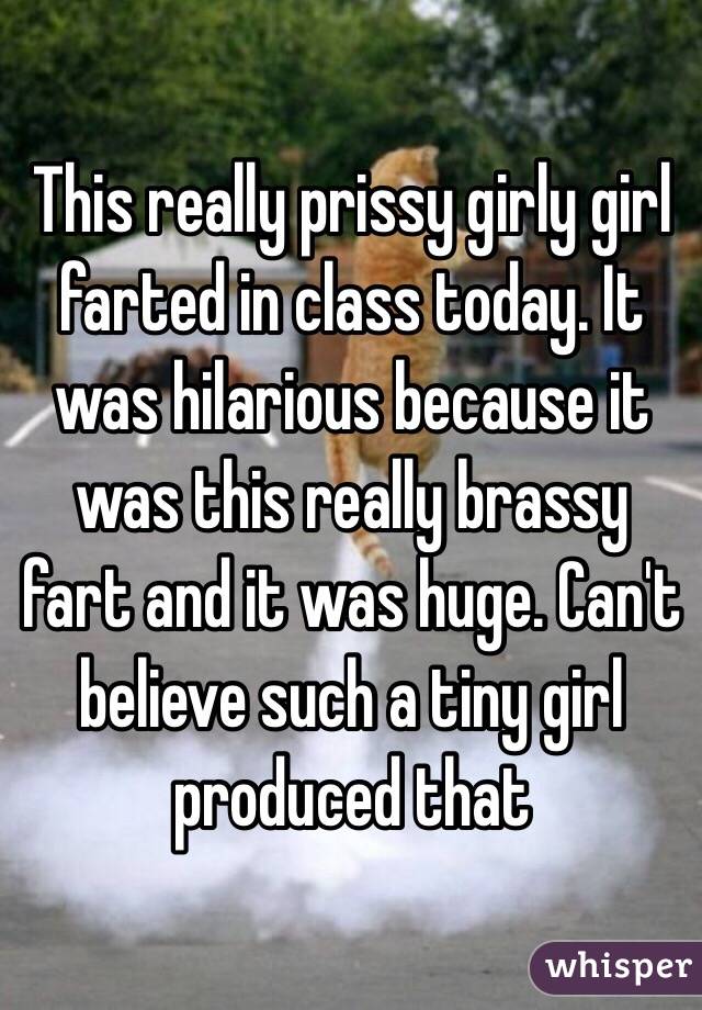 This really prissy girly girl farted in class today. It was hilarious because it was this really brassy fart and it was huge. Can't believe such a tiny girl produced that